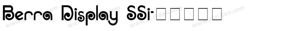 Berra Display SSi字体转换